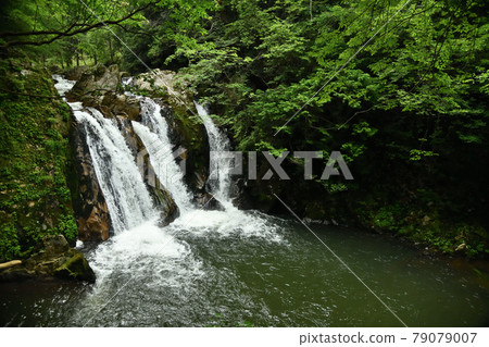 Misuji Falls [Shigaraki Town, Koka City, Shiga Prefecture] 79079007