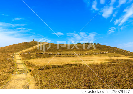 燒河內山口後【長崎縣平戶市】 79079197