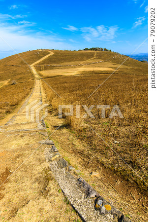 燒河內山口後【長崎縣平戶市】 79079202