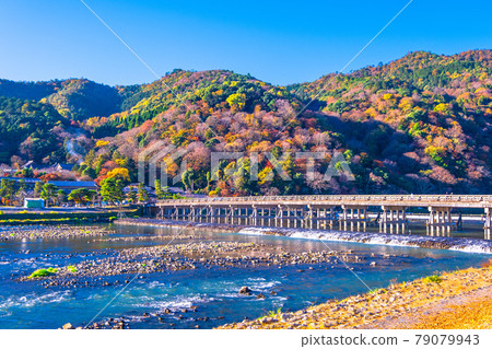 The autumn leaves of Arashiyama and Togetsu bridge 79079943