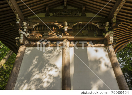 Jindaiji Temple, Fresh Green, Ukidakeyama Shorakuin, Apotropaic Magic 79080464