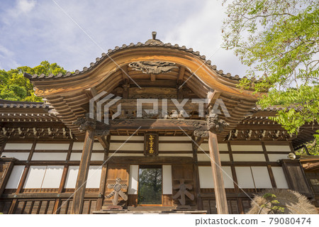 神大寺、翠綠、浮嶽山升雲院、逆光魔法 神大寺、翠綠、浮嶽山升雲院、逆光魔法 79080474