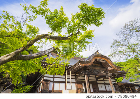 神大寺、翠綠、浮嶽山升雲院、逆光魔法 神大寺、翠綠、浮嶽山升雲院、逆光魔法 79080484