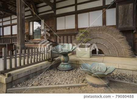 神大寺、翠綠、浮嶽山升雲院、逆光魔法 神大寺、翠綠、浮嶽山升雲院、逆光魔法 79080488
