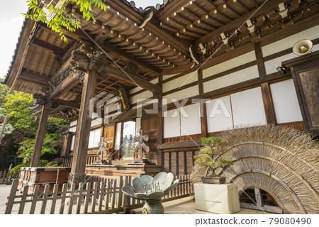 神大寺、翠綠、浮嶽山升雲院、逆光魔法 神大寺、翠綠、浮嶽山升雲院、逆光魔法 79080490