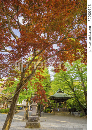 神大寺、翠綠、浮嶽山升雲院、逆光魔法 79080498