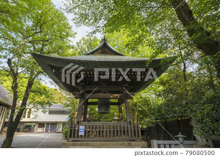 Jindaiji Temple, Fresh Green, Ukidakeyama Shorakuin, Apotropaic Magic Jindaiji Temple, Fresh Green, Ukidakeyama Shorakuin, Apotropaic Magic 79080500