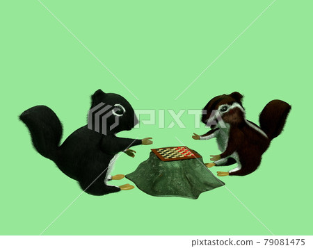 Squirrels playing games 79081475