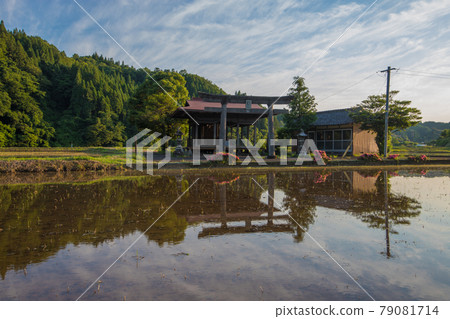 小神社和稻田的倒影 小神社和稻田的倒影 79081714