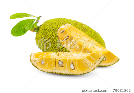 jack fruits on white background 79081862