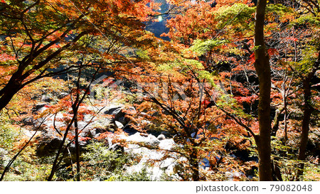 山梨縣昇仙峽的紅葉 山梨縣昇仙峽的紅葉 79082048