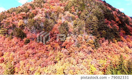 Aerial view of autumn leaves in the mountains of Gero, Gifu 79082331