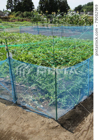 Animal invasion prevention net Animal invasion prevention net 79082969