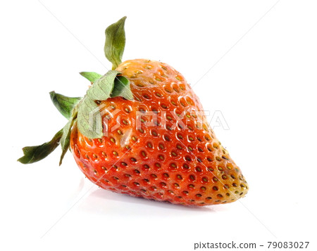 rotten strawberries on white background 79083027