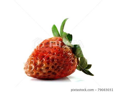 rotten strawberries on white background 79083031