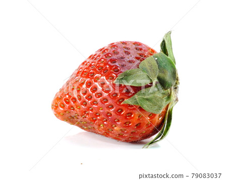 rotten strawberries on white background 79083037
