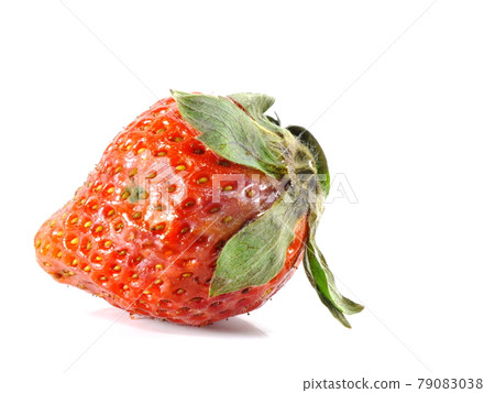 rotten strawberries on white background rotten strawberries on white background 79083038