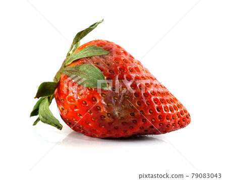 rotten strawberries on white background 79083043