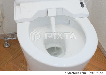 Toilet nozzle Washlet nozzle 79083154