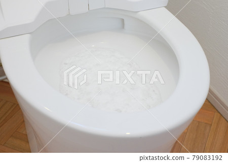 馬桶清潔、泡沫清潔 79083192