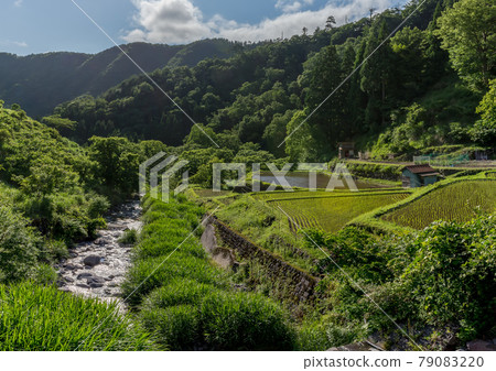 countryside 79083220