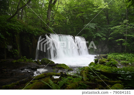 Oirase stream of summer Oirase stream of summer 79084181