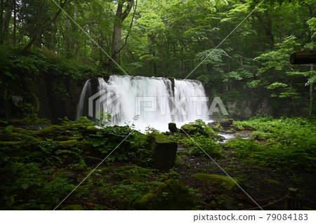 Oirase stream of summer 79084183