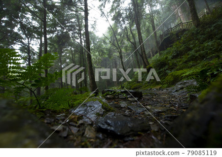 Taiwan, Qilan, Ma Gao Shenmu, Taiwan, Qilan, Ma Gao Shenmu, Taiwan, 79085119