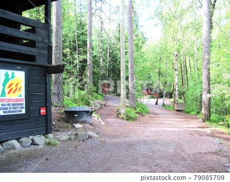Finland Noux (Nuxio National Park) Forest / Birch Finland Noux (Nuxio National Park) Forest / Birch 79085709