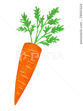油畫棒插畫-胡蘿蔔 79085824