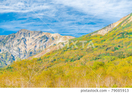 Autumn Tsugaike Natural Garden [Nagano Prefecture] 79085913