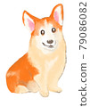Sitting corgi 79086082