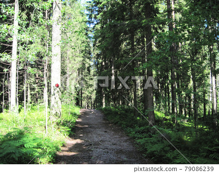 Noux Hiking course in Nuuksio National Park Noux Hiking course in Nuuksio National Park 79086239