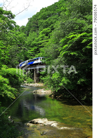 Okuizumi Orochi問題 79086574