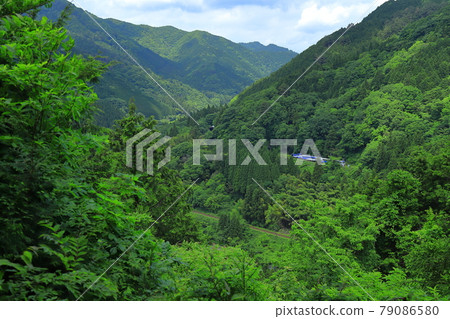 Okuizumi Orochi問題 Okuizumi Orochi問題 79086580