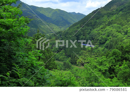 Okuizumi Orochi問題 79086581