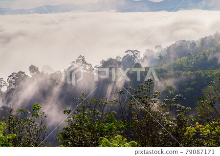Khao Khai Nui, Sea of fog in the winter mornings at sunrise, New landmark to see beautiful scenery at Thailand. Khao Khai Nui, Sea of fog in the winter mornings at sunrise, New landmark to see beautiful scenery at Thailand. 79087171