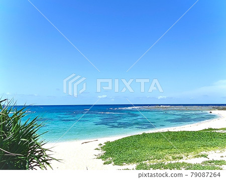 奄美大島泊海灘 2021-06-23 奄美大島泊海灘 2021-06-23 79087264