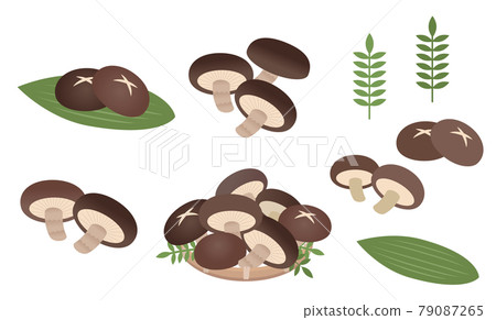 什錦香菇插圖集 什錦香菇插圖集 79087265