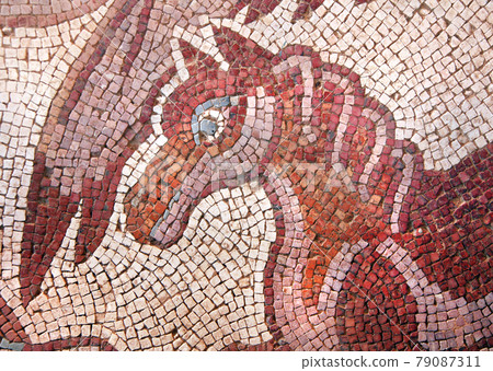 Ancient natural stone tile mosaics, Madaba, Jordan 79087311