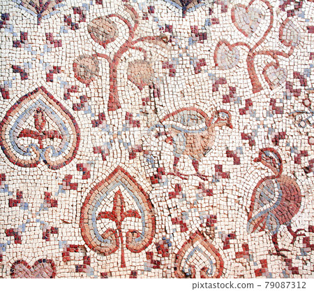 Ancient natural stone tile mosaics, Madaba, Jordan 79087312
