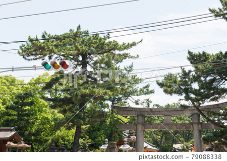 Sumiyoshi Taisha Shrine Sumiyoshi Taisha Shrine 79088338