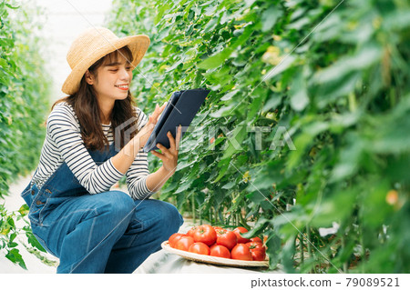 Smart Agri (Smart Agriculture) Smart Agri (Smart Agriculture) 79089521