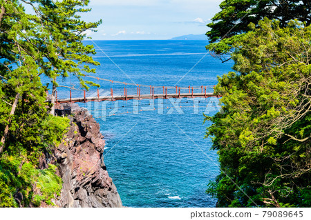 靜岡縣伊東市城崎海岸的門脅吊橋 79089645