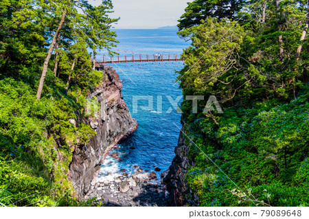 靜岡縣伊東市城崎海岸的門脅吊橋 79089648