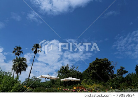Blue sky, cloud, fine weather, Izu Peninsula Blue sky, cloud, fine weather, Izu Peninsula 79089654