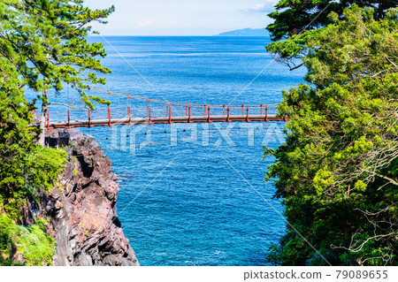 靜岡縣伊東市城崎海岸的門脅吊橋 靜岡縣伊東市城崎海岸的門脅吊橋 79089655