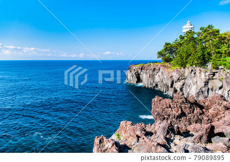 Jogasaki Coast, Ito City, Shizuoka Prefecture 79089895
