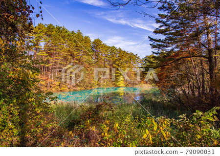 Autumn in Fukushima Urabandai, Goshikinuma Lakes in autumn colors, Aonuma Autumn in Fukushima Urabandai, Goshikinuma Lakes in autumn colors, Aonuma 79090031