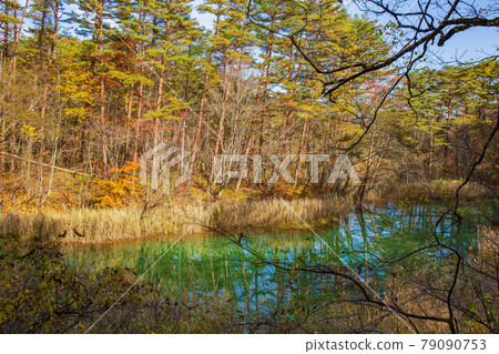 福島裡磐梯的秋天 秋色的五色沼湖 赤沼 照片素材 圖片 圖庫